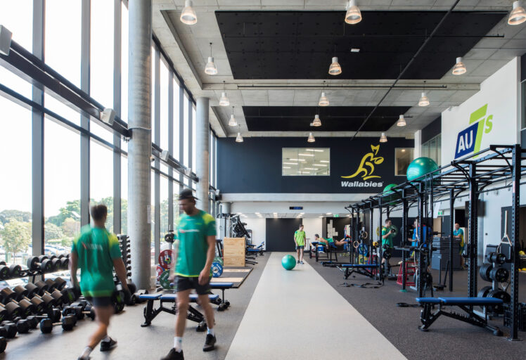 CSA - Rugby AU House Project